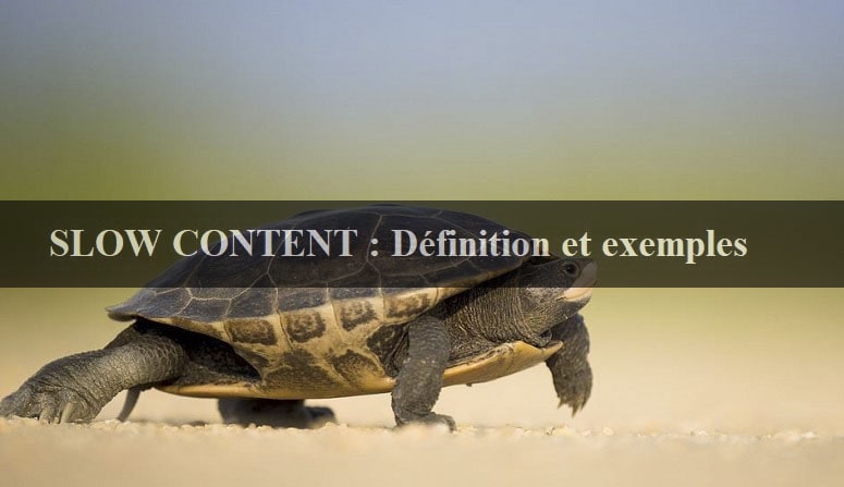 Slow content définition, slow content exemple, slow content et snacking content, slow blogging