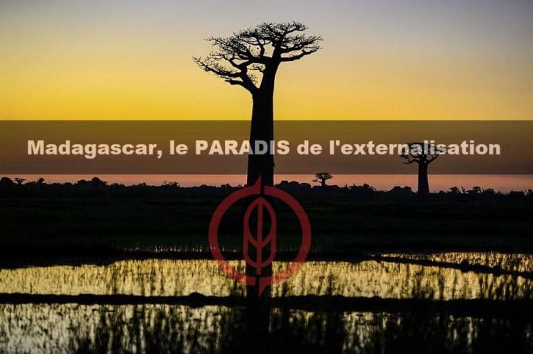 Quels sont les projets digitaux que l’on peut externaliser à Madagascar ? Externalisation à Madagascar