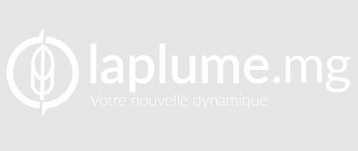 rédacteur web pas cher madagascar laplume.mg