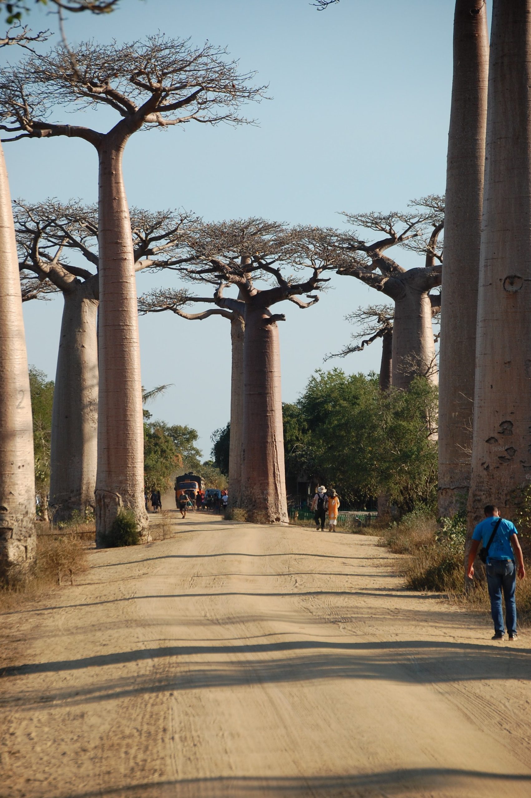 externalisation outsourcing madagascar