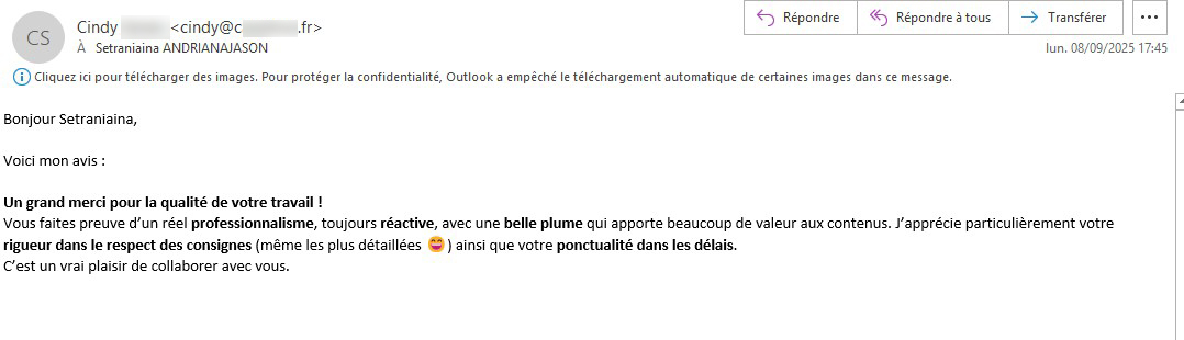 avis agence web française sur laplume.mg